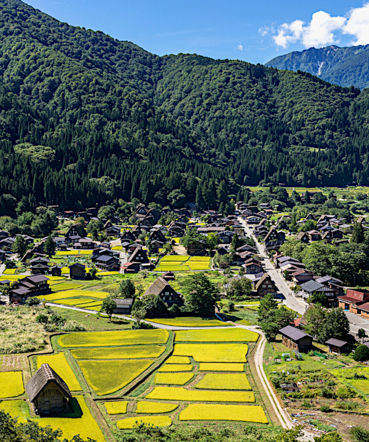 『伝建協』白川村萩町（山村集落 岐阜）