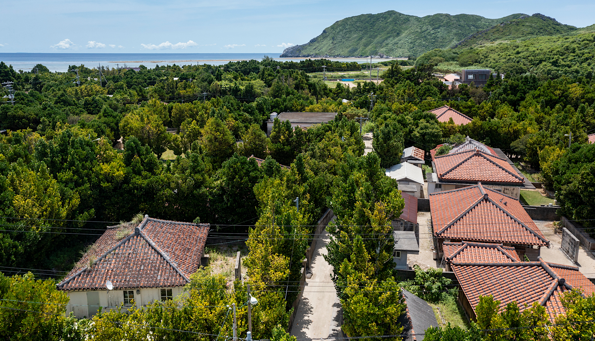 『伝建協』渡名喜村渡名喜島（島の農村集落 沖縄）